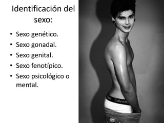 Identificación del
sexo:
•
•
•
•
•

Sexo genético.
Sexo gonadal.
Sexo genital.
Sexo fenotípico.
Sexo psicológico o
mental.

 