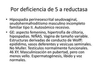 Por deficiencia de 5 a reductasa
• Hipospadia perineoescrital seudovaginal,
seudohermafroditismo masculino incompleto
familiar tipo II. Autosómico recesivo.
• GE: aspecto femenino, hipertrofia de clítoria,
hipospadias. NIÑAS. Vagina de tamaño variable.
Estructuras derivadas de conducto de Wolff:
epidídimo, vasos deferentes y vesícuas seminales.
No Muller. Testículos normalmente funcionales.
46 XY. Masculinización en pubertad, pero con
menos vello. Espermatogénesis, líbido y voz
normales.

 