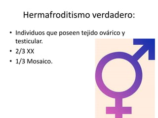 Hermafroditismo verdadero:
• Individuos que poseen tejido ovárico y
testicular.
• 2/3 XX
• 1/3 Mosaico.

 