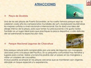 ATRACCIONES
 Playa de Zicatela
Una de las seis playas de Puerto Escondido, se ha vuelto famosa porque aquí se
celebran cada año los campeonatos mundiales de surf y bodyboard reuniéndose
los mejores surfistas a nivel nacional e internacional. Eso te dará una idea del
oleaje intenso de la playa, para que tomes tus precauciones si te gusta nadar.
También es un lugar ideal para que practiques la pesca deportiva, o sólo disfrutes
del sol admirando la espectacular vista.
 Parque Nacional Lagunas de Chacahua
Este parque natural está comprendido por una serie de lagunas con manglares
ubicadas junto a la playa del Pacífico. En su pequeña comunidad hay tienditas y
lugares para comer. Sobre una lancha podrás dar un paseo en los manglares y
visitar un criadero de cocodrilos.
Incluso podrás acampar en las playas cercanas que se mantienen aún vírgenes,
dándole un toque especial a tu experiencia.
 