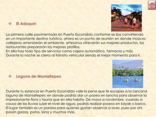  El Adoquín
La primera calle pavimentada en Puerto Escondido conforme se iba convirtiendo
en un importante destino turístico, ahora es un punto de reunión en donde músicos
callejeros amenizarán el ambiente, artesanos ofrecerán sus mejores productos, los
restaurantes prepararán los mejores platillos.
En ella hay todo tipo de servicios como cajero automático, farmacia y más.
Durante la noche se cierra al tránsito vehicular siendo el mejor momento para ir.
 Laguna de Manialtepec
Durante tu estancia en Puerto Escondido vale la pena que te escapes a la cercana
laguna de Manialtepec en donde podrás dar un paseo en lancha para observar la
impresionante flora y fauna que en ella habita. De mayo a noviembre, cuando a
causa de las lluvias sube el nivel de agua, podrás realizar paseos en kayak o barco.
El lugar también es un paraíso para quienes gustan observar a aves, pues por ahí
pasan garzas, patos, loros y muchas más.
 
