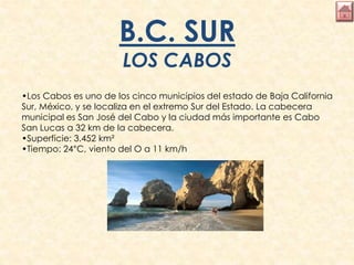 B.C. SUR
LOS CABOS
•Los Cabos es uno de los cinco municipios del estado de Baja California
Sur, México, y se localiza en el extremo Sur del Estado. La cabecera
municipal es San José del Cabo y la ciudad más importante es Cabo
San Lucas a 32 km de la cabecera.
•Superficie: 3.452 km²
•Tiempo: 24°C, viento del O a 11 km/h
 