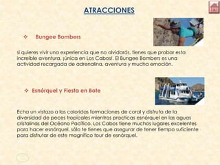 ATRACCIONES
 Bungee Bombers
si quieres vivir una experiencia que no olvidarás, tienes que probar esta
increíble aventura, ¡única en Los Cabos!. El Bungee Bombers es una
actividad recargada de adrenalina, aventura y mucha emoción.
 Esnórquel y Fiesta en Bote
Echa un vistazo a las coloridas formaciones de coral y disfruta de la
diversidad de peces tropicales mientras practicas esnórquel en las aguas
cristalinas del Océano Pacífico. Los Cabos tiene muchos lugares excelentes
para hacer esnórquel, sólo te tienes que asegurar de tener tiempo suficiente
para disfrutar de este magnífico tour de esnórquel.
 