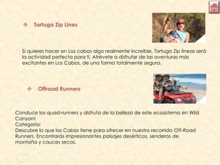  Tortuga Zip Lines
Si quieres hacer en Los cabos algo realmente increible, Tortuga Zip líneas será
la actividad perfecta para ti. Atrévete a disfrutar de las aventuras más
excitantes en Los Cabos, de una forma totalmente segura.
 Offroad Runners
Conduce los quad-runners y disfruta de la belleza de este ecosistema en Wild
Canyon!
Categoría:
Descubre lo que los Cabos tiene para ofrecer en nuestro recorrido Off-Road
Runners. Encontrarás impresionantes paisajes desérticos, senderos de
montaña y cauces secos.
 