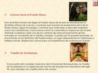  Cuevas hacia el Pueblo Maya
Una divertida manera de llegar al Pueblo Maya de Xcaret es atravesando un
divertido sistema de cuevas y cavernas que recorren la exuberante selva de la
Riviera Maya. Sigue los pasajes y caminos que te llevarán a descubrir sorpresas
como ríos subterráneos y fauna local como los carismáticos mapaches de Xcaret.
Atrévete a explorar cada uno de los caminos de estas emocionantes grutas
naturales en compañía de tu familia y amigos. Cuando por fin puedas resolverlo, te
encontrarás en los territorios del Pueblo Maya, un lugar desbordante en tradiciones y
belleza natural. ¡Explora las cuevas para una experiencia de aventura en Xcaret!
 Capilla de Guadalupe
Como parte del complejo mexicano de la Hacienda Henequenera, la Capilla
de Guadalupe es un espectacular recinto de arquitectura neoclásica del siglo
XX, que asemeja una capilla rústica de campo
 