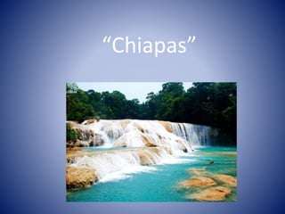 “Chiapas”
 