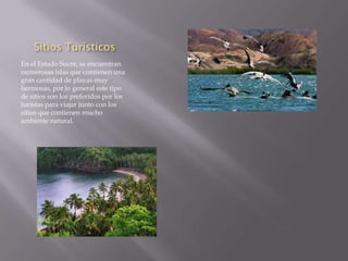 Sitios Turísticos
En el Estado Sucre, se encuentran
numerosas islas que contienen una
gran cantidad de playas muy
hermosas, por lo general este tipo
de sitios son los preferidos por los
turistas para viajar junto con los
sitios que contienen mucho
ambiente natural.
 
