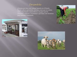 Despedida
¡Gracias por leer este trabajo basado en el Estado
Sucre!, ahora aprendiste muchas cosas que no sabías
sobre este Estado maravilloso y su gran aporte
artesanal, cultural y económico que tiene este hermoso
país llamado Venezuela.
 