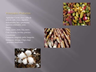 Principales Productos
Agrícolas: Cacao, coco, caña de
azúcar, café, yuca, algodón.
Industriales: Sal y productos
marinos enlatados, yeso.
Pesca:
Atún, cazón, jurel, lisa, mero.
Cría: Avícola, bovino, porcino.
Crustáceos:
Camarón, cangrejo, jaiba, langosta.
Moluscos: Almeja, Chipi chipi
, guacuco, mejillones.
 