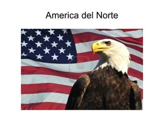 America del Norte
 