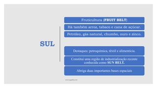 SUL
Fruticultura (FRUIT BELT)
Há também arroz, tabaco e cana de açúcar.
Petróleo, gás natural, chumbo, ouro e zinco.
Destaques: petroquímica, têxtil e alimentícia.
Constitui uma região de industrialização recente
conhecida como SUN BELT.
Abriga duas importantes bases espaciais
 