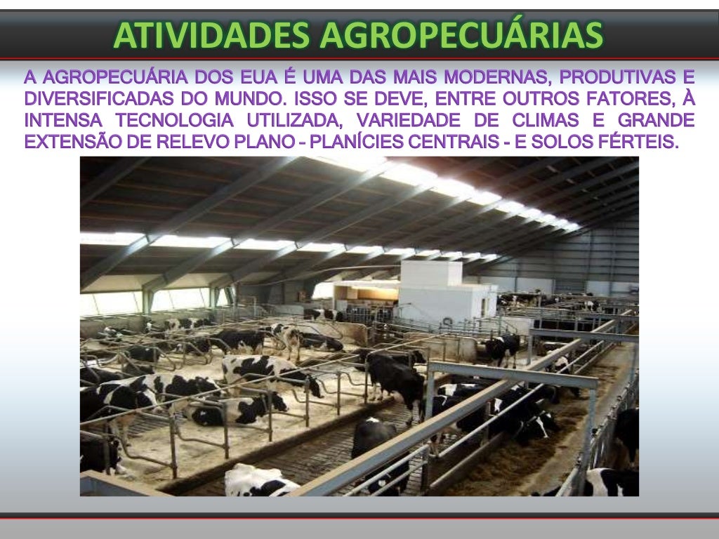 Como Está Organizada A Produção Agropecuária Nos Estados Unidos