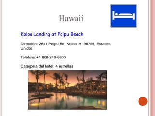 Hawaii
Koloa Landing at Poipu Beach

Dirección: 2641 Poipu Rd, Koloa, HI 96756, Estados
Unidos

Teléfono:+1 808-240-6600

Categoría del hotel: 4 estrellas
 
