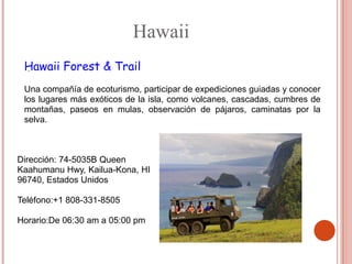 Hawaii
 Hawaii Forest & Trail
 .

 Una compañía de ecoturismo, participar de expediciones guiadas y conocer
 los lugares más exóticos de la isla, como volcanes, cascadas, cumbres de
 montañas, paseos en mulas, observación de pájaros, caminatas por la
 selva.



Dirección: 74-5035B Queen
Kaahumanu Hwy, Kailua-Kona, HI
96740, Estados Unidos

Teléfono:+1 808-331-8505

Horario:De 06:30 am a 05:00 pm
 