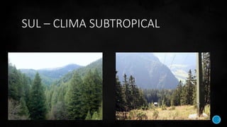 SUL – CLIMA SUBTROPICAL
 