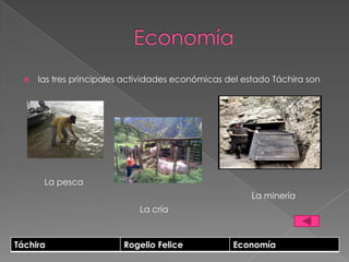    las tres principales actividades económicas del estado Táchira son




       La pesca
                                                       La minería
                             La cría



Táchira                   Rogelio Felice           Economía
 