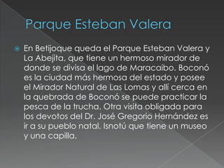    En Betijoque queda el Parque Esteban Valera y
    La Abejita, que tiene un hermoso mirador de
    donde se divisa el lago de Maracaibo. Boconó
    es la ciudad más hermosa del estado y posee
    el Mirador Natural de Las Lomas y allí cerca en
    la quebrada de Boconó se puede practicar la
    pesca de la trucha. Otra visita obligada para
    los devotos del Dr. José Gregorio Hernández es
    ir a su pueblo natal, Isnotú que tiene un museo
    y una capilla.
 