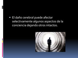  El daño cerebral puede afectar

selectivamente algunos aspectos de la
conciencia dejando otros intactos.

 