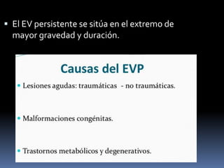  El EV persistente se sitúa en el extremo de
mayor gravedad y duración.

 
