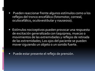  Pueden reaccionar frente algunos estímulos como a los

reflejos del tronco encefálico (fotomotor, corneal,
oculocefálico, oculovestibular y nauseoso).
 Estímulos nociceptivos pueden provocar una respuesta

de excitación generalizada con taquipnea, muecas o
movimientos de las extremidades y reflejos de retirada
de las extremidades; Los ojos del paciente se pueden
mover siguiendo un objeto o un sonido fuerte.
 Puede estar presente el reflejo de prensión.

 