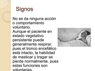Signos
No se da ninguna acción
o comportamiento
voluntario.
Aunque el paciente en
estado vegetativo
persistente puede
generalmente respirar,
pues el tronco encefálico
está intacto, la habilidad
de masticar y tragar se
pierde normalmente, pues
estas funciones son
 