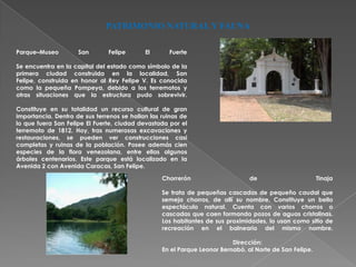 PATRIMONIO NATURAL Y FAUNA

Parque–Museo         San       Felipe       El      Fuerte

Se encuentra en la capital del estado como símbolo de la
primera ciudad construida en la localidad, San
Felipe, construida en honor al Rey Felipe V. Es conocida
como la pequeña Pompeya, debido a los terremotos y
otras situaciones que la estructura pudo sobrevivir.

Constituye en su totalidad un recurso cultural de gran
importancia. Dentro de sus terrenos se hallan las ruinas de
lo que fuera San Felipe El Fuerte, ciudad devastada por el
terremoto de 1812. Hoy, tras numerosas excavaciones y
restauraciones, se pueden ver construcciones casi
completas y ruinas de la población. Posee además cien
especies de la flora venezolana, entre ellas algunos
árboles centenarios. Este parque está localizado en la
Avenida 2 con Avenida Caracas, San Felipe.

                                                  Chorrerón                     de                       Tinaja

                                                  Se trata de pequeñas cascadas de pequeño caudal que
                                                  semeja chorros, de allí su nombre. Constituye un bello
                                                  espectáculo natural. Cuenta con varios chorros o
                                                  cascadas que caen formando pozos de aguas cristalinas.
                                                  Los habitantes de sus proximidades, lo usan como sitio de
                                                  recreación en el balneario del mismo nombre.

                                                                          Dirección:
                                                  En el Parque Leonor Bernabó, al Norte de San Felipe.
 