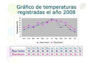 Gráfico de temperaturas
    registradas el año 2008
                       40
                       35
    Temperatura (º...