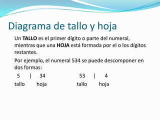 Diagrama de tallo y hoja Un TALLO es el primer dígito o parte del numeral, mientras que una HOJA está formada por el o los dígitos restantes.	Por ejemplo, el numeral 534 se puede descomponer en dos formas:	  5       |      34                          53      |       4	tallo         hoja                       tallo         hoja