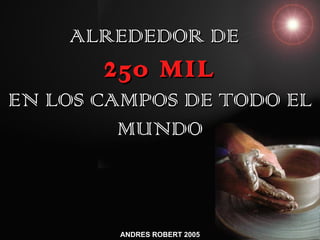 ALREDEDOR DE
       250 MIL
EN LOS CAMPOS DE TODO EL
         MUNDO



        ANDRES ROBERT 2005
 