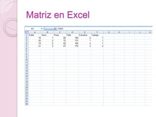 Matriz en Excel
 