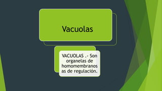Vacuolas
VACUOLAS .- Son
organelas de
homomembranos
as de regulación.
 