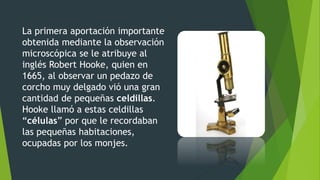 La primera aportación importante
obtenida mediante la observación
microscópica se le atribuye al
inglés Robert Hooke, quien en
1665, al observar un pedazo de
corcho muy delgado vió una gran
cantidad de pequeñas celdillas.
Hooke llamó a estas celdillas
“células” por que le recordaban
las pequeñas habitaciones,
ocupadas por los monjes.
 