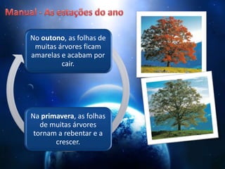 No outono, as folhas de
muitas árvores ficam
amarelas e acabam por
cair.
Na primavera, as folhas
de muitas árvores
tornam a rebentar e a
crescer.
 