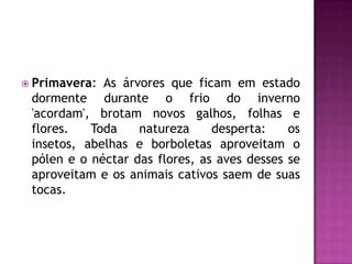  Primavera: As árvores que ficam em estado
dormente durante o frio do inverno
'acordam', brotam novos galhos, folhas e
flores. Toda natureza desperta: os
insetos, abelhas e borboletas aproveitam o
pólen e o néctar das flores, as aves desses se
aproveitam e os animais cativos saem de suas
tocas.
 
