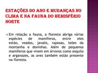  Em relação a fauna, a floresta abriga várias
espécies de mamíferos, entre eles
estão, veados, javalis, raposas, leões da
montanha e doninhas. Além de pequenos
mamíferos que vivem em árvores como esquilo
e arganazes, as aves também estão presente
na floresta.
 