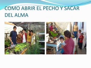 COMO ABRIR EL PECHO Y SACAR DEL ALMA