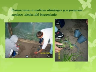 Comenzamos a realizar almácigos y a preparar
canteros dentro del invernáculo

 