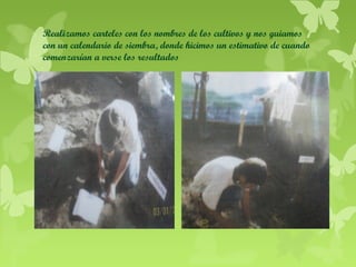 Realizamos carteles con los nombres de los cultivos y nos guiamos
con un calendario de siembra, donde hicimos un estimativo de cuando
comenzarían a verse los resultados

 