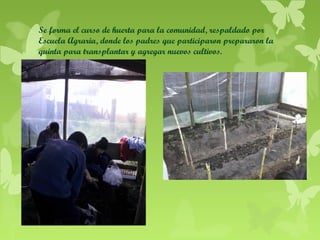 Se forma el curso de huerta para la comunidad, respaldado por
Escuela Agraria, donde los padres que participaron prepararon la
quinta para transplantar y agregar nuevos cultivos.

 