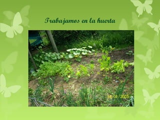 Trabajamos en la huerta

 