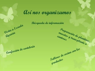 Así nos organizamos
E
aa
isit ia
V
r
gra
A

uela
sc

ó
nfecci
Co

Búsqueda de información

a
rtelerí
a
n de c

Pre
p
mac aració
n de
can etas y
tran plant
te r o
s
spla ines,
nte
a

ci
e co
res d
alle tos
T
c
odu
pr

lo s
n
a co
n

 
