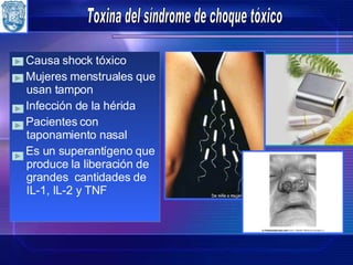 Causa shock tóxico Mujeres menstruales que usan tampon Infección de la hérida Pacientes con taponamiento nasal Es un superantígeno que produce la liberación de grandes  cantidades de IL -1, IL-2 y TNF Toxina del síndrome de choque tóxico 