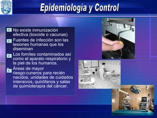 Epidemiología y Control No existe inmunización efectiva  (toxoide o vacunas) Fuentes de infección son las lesiones humanas que los diseminan Los fomítes contaminados así como el aparato respiratorio y la piel de los humanos. Áreas de mayor riesgo : cuneros para recién nacidos, unidades de cuidados intensivos, quirófanos y salas de quimioterapia del cáncer. 