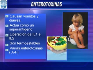Causan vómitos y diarrea. Actúa como un superantígeno Liberación de IL1 e IL2 Son termoestables Varias enterotoxinas  ( A-F) ENTEROTOXINAS  
