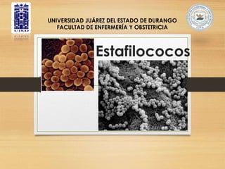 UNIVERSIDAD JUÁREZ DEL ESTADO DE DURANGO 
FACULTAD DE ENFERMERÍA Y OBSTETRICIA 
Estafilococos 
 