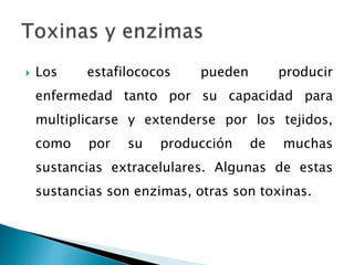  Los estafilococos pueden producir
enfermedad tanto por su capacidad para
multiplicarse y extenderse por los tejidos,
como por su producción de muchas
sustancias extracelulares. Algunas de estas
sustancias son enzimas, otras son toxinas.
 
