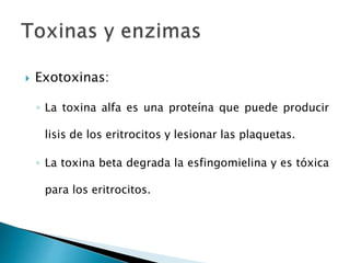  Exotoxinas:
◦ La toxina alfa es una proteína que puede producir
lisis de los eritrocitos y lesionar las plaquetas.
◦ La toxina beta degrada la esfingomielina y es tóxica
para los eritrocitos.
 