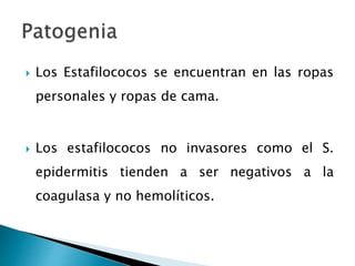  Los Estafilococos se encuentran en las ropas
personales y ropas de cama.
 Los estafilococos no invasores como el S.
epidermitis tienden a ser negativos a la
coagulasa y no hemolíticos.
 