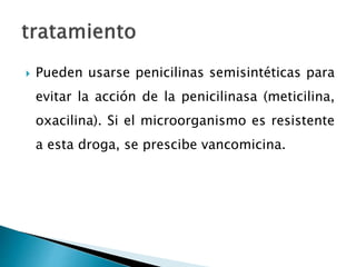  Pueden usarse penicilinas semisintéticas para
evitar la acción de la penicilinasa (meticilina,
oxacilina). Si el microorganismo es resistente
a esta droga, se prescibe vancomicina.
 