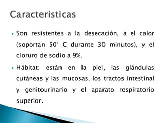  Son resistentes a la desecación, a el calor
(soportan 50° C durante 30 minutos), y el
cloruro de sodio a 9%.
 Hábitat: están en la piel, las glándulas
cutáneas y las mucosas, los tractos intestinal
y genitourinario y el aparato respiratorio
superior.
 